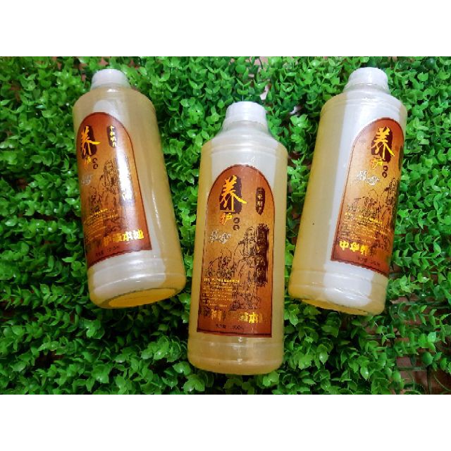 1000Ml Dầu Gừng Massage Giảm Béo Săn Chắc Cơ Thể Đã Thông Kinh Lạc Dùng Trong Spa Thẫm Mỹ Viện