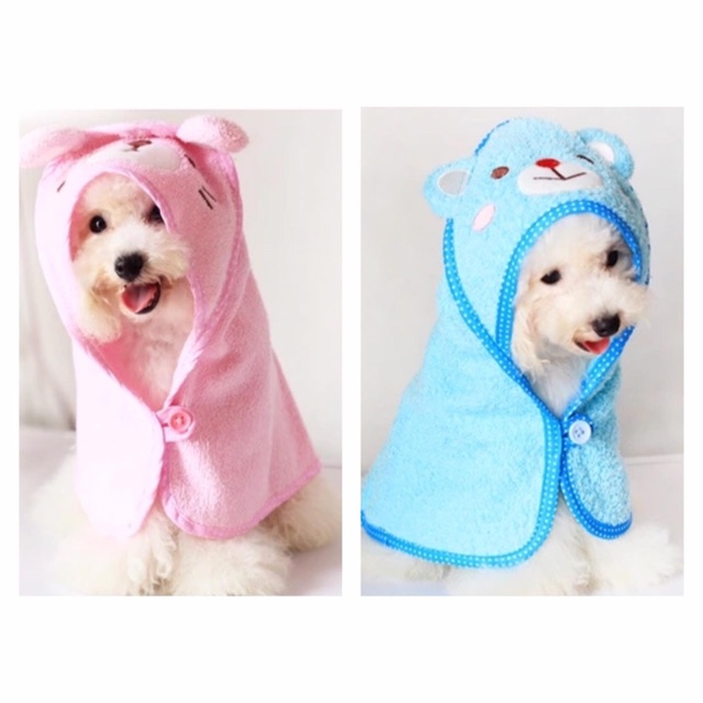 Khăn choàng che nắng, che mưa cho cún mèo🐾🐩🐶😽