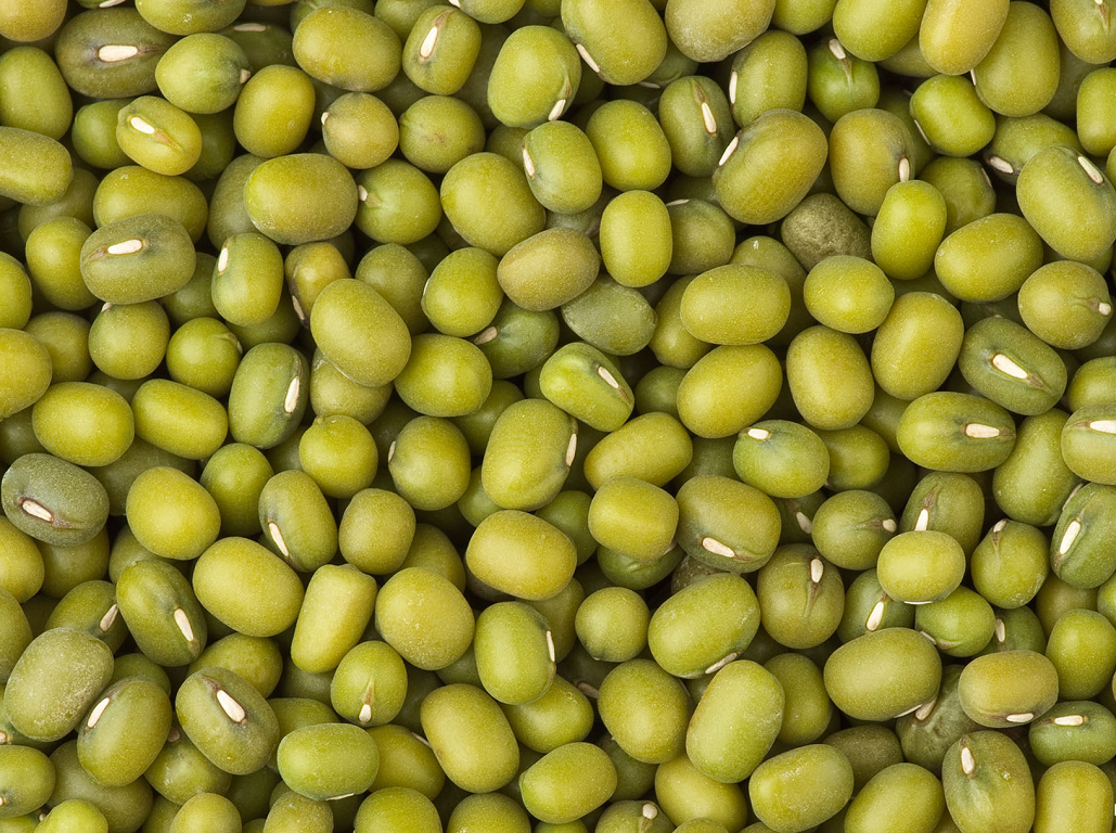 1kg Đậu xanh làm giá đỗ / Đỗ xanh phơi nắng tự nhiên | Lazada.vn