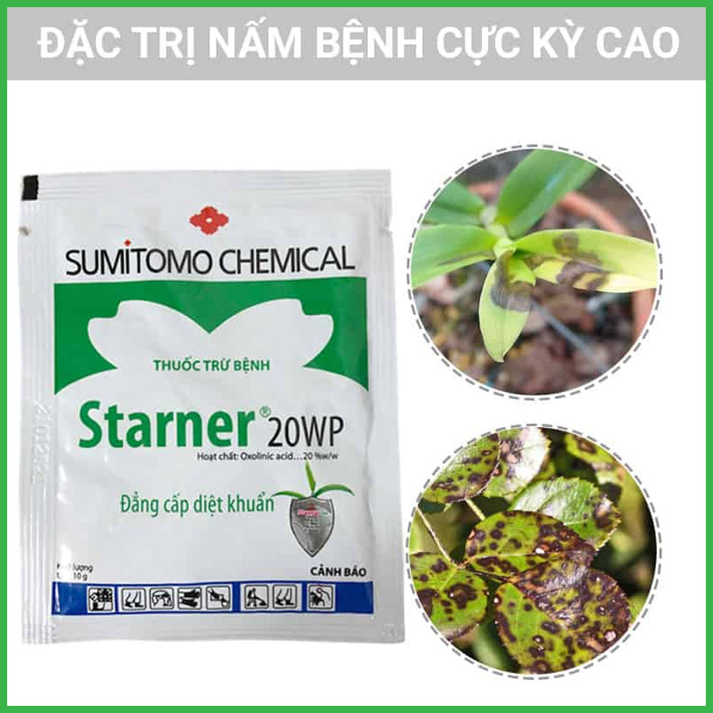 Thuốc Trị Vi Khuẩn Starner 20WP Cho Lan Và Cây Kiểng