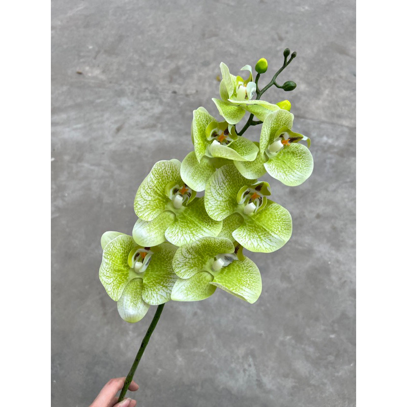 Hoa Giả Hoa Lan Hồ Điệp Cao Su 7 Bông