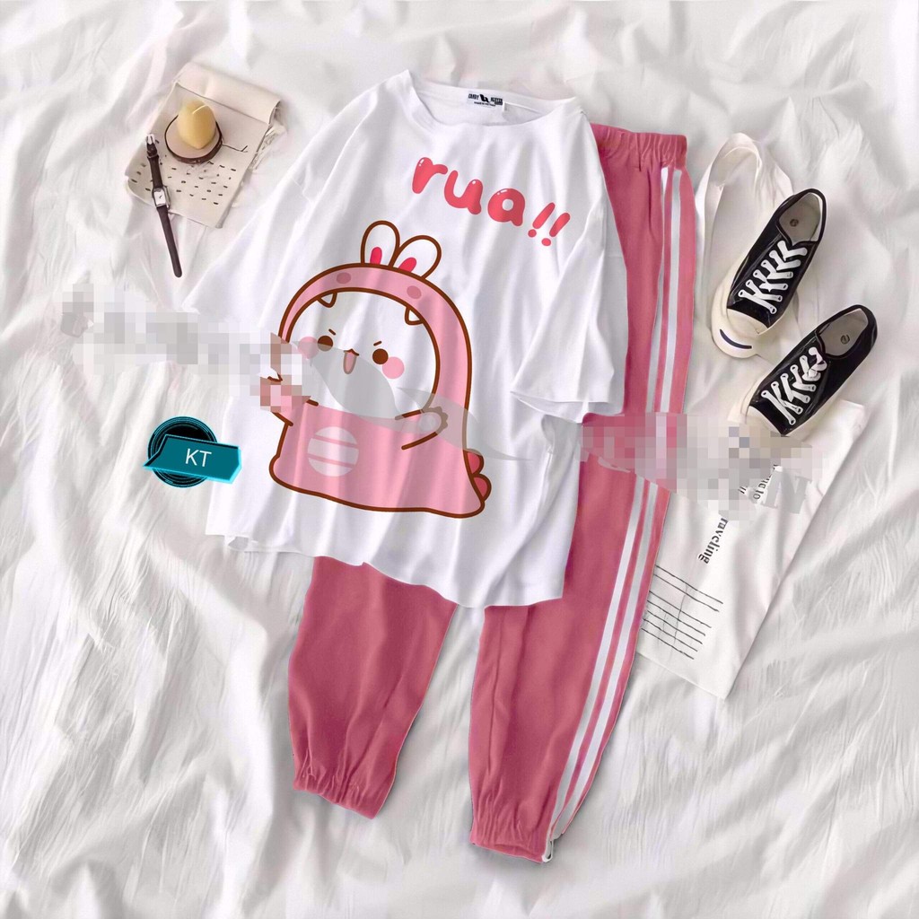 Sét áo buddy + quần chun gấu hari