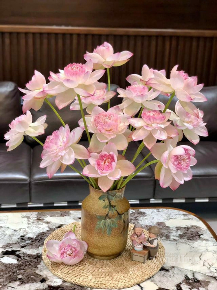 Củ Giống Sen Super Lotus Siêu Thơm - Hàng Loại 1