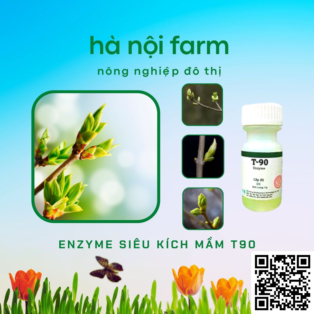 Kích mầm T90 chính hãng, kích mầm theo ý muốn, bật mầm tua tủa, cam kết hiệu quả 100%