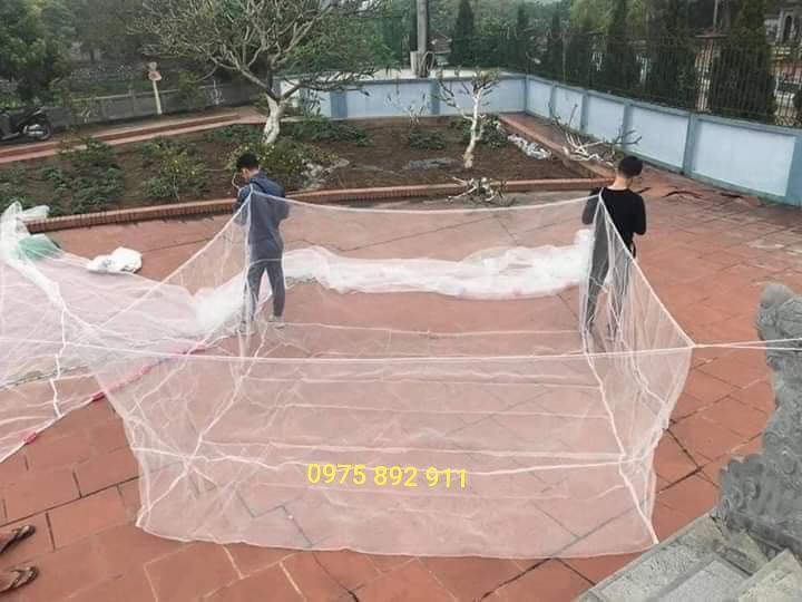 TRÁNG NUÔI CÁ , TRÊ , CHUÔI HOA , ỐC ẾCH