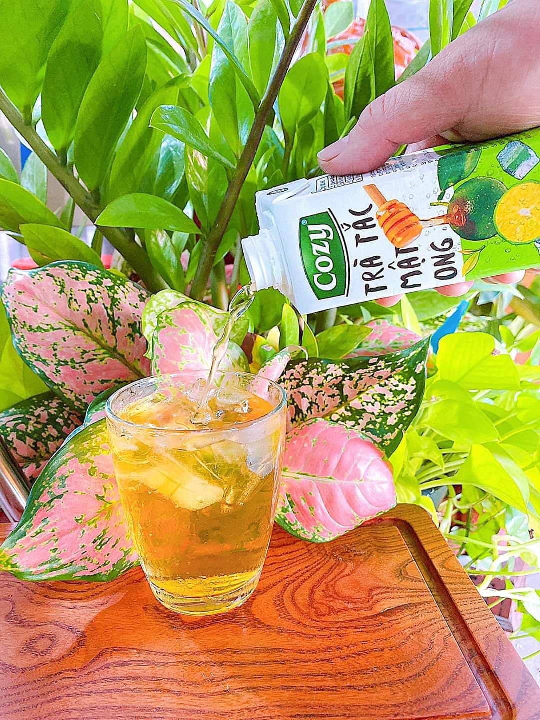COMBO 3 thùng trà cozy 3 vị