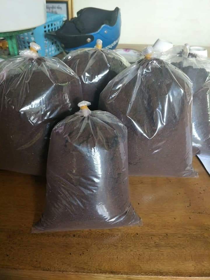 CÀ PHÊ NGUYÊN CHẤT ĐĂK LĂK LOẠI 1KG
