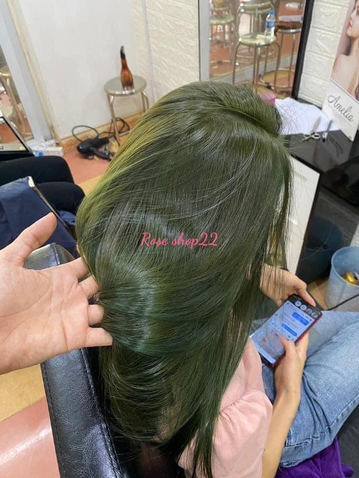 Combo COLD Moss Color Hair Dye No Bleach