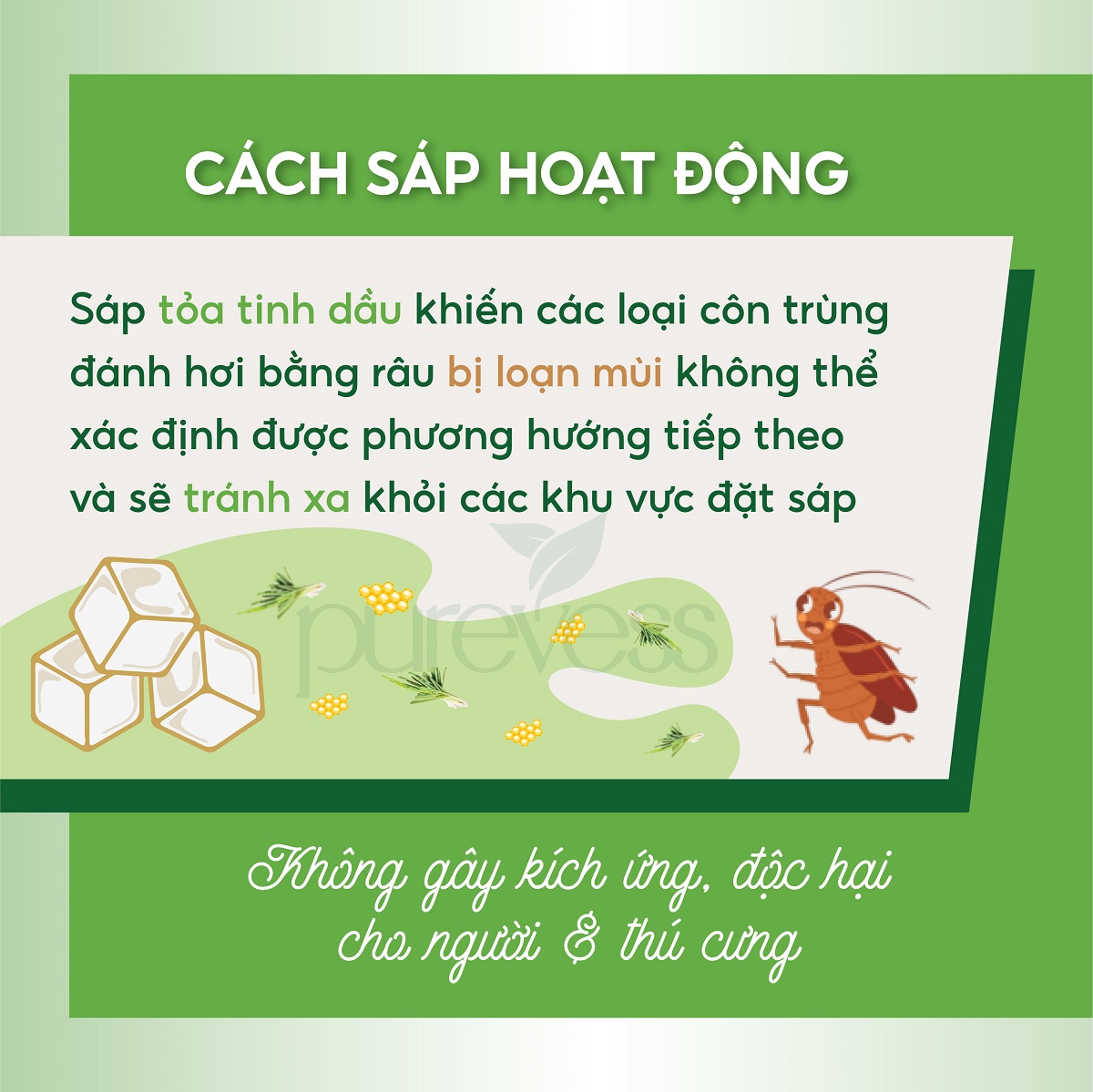 Sáp thơm đuổi muỗi, đuổi côn trùng, kiến gián Purevess