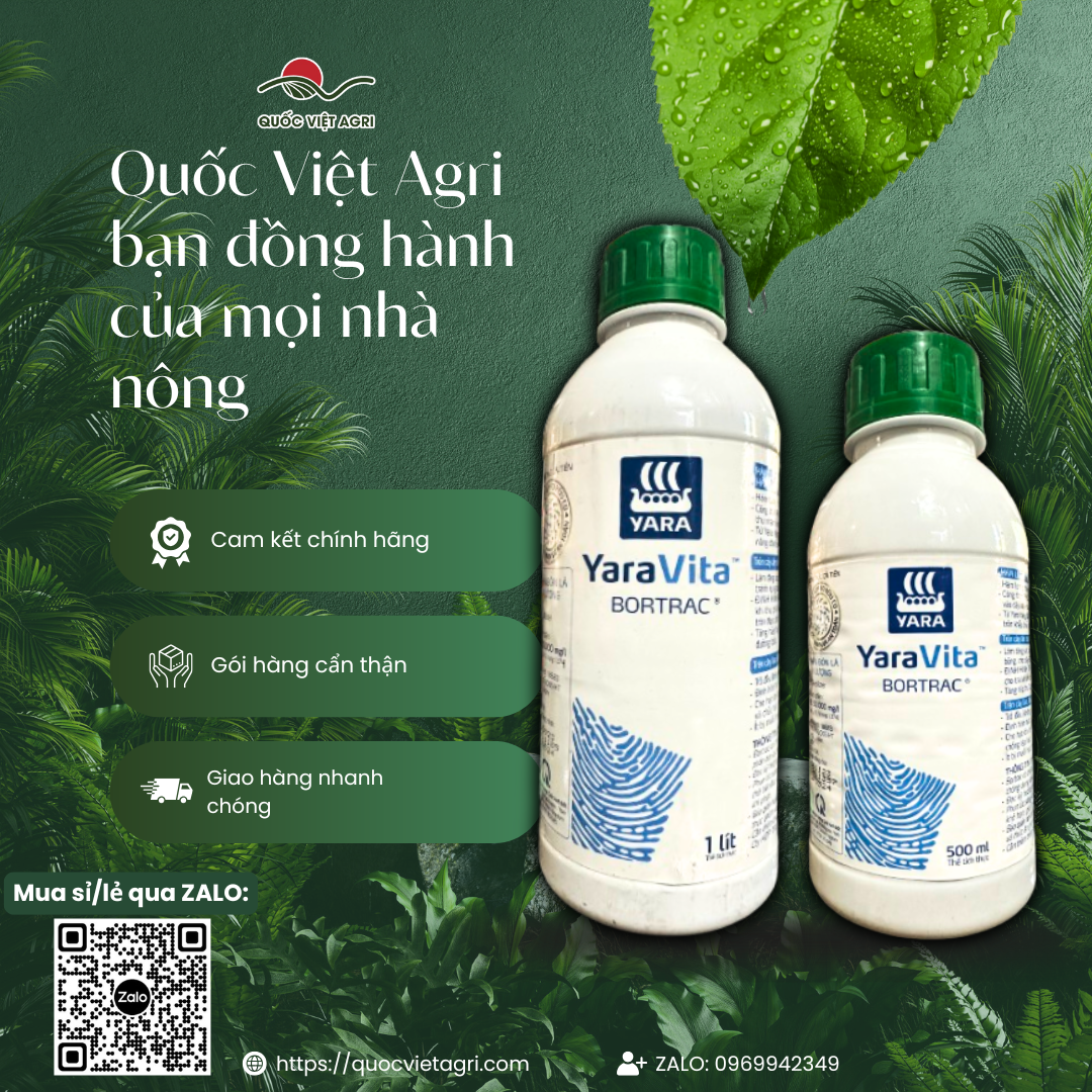 Phân bón lá BORTRAC Hợp Trí (chai 500ml - 1L) - Yara Vita Bortrac Ra hoa nhiều, bông to, dài