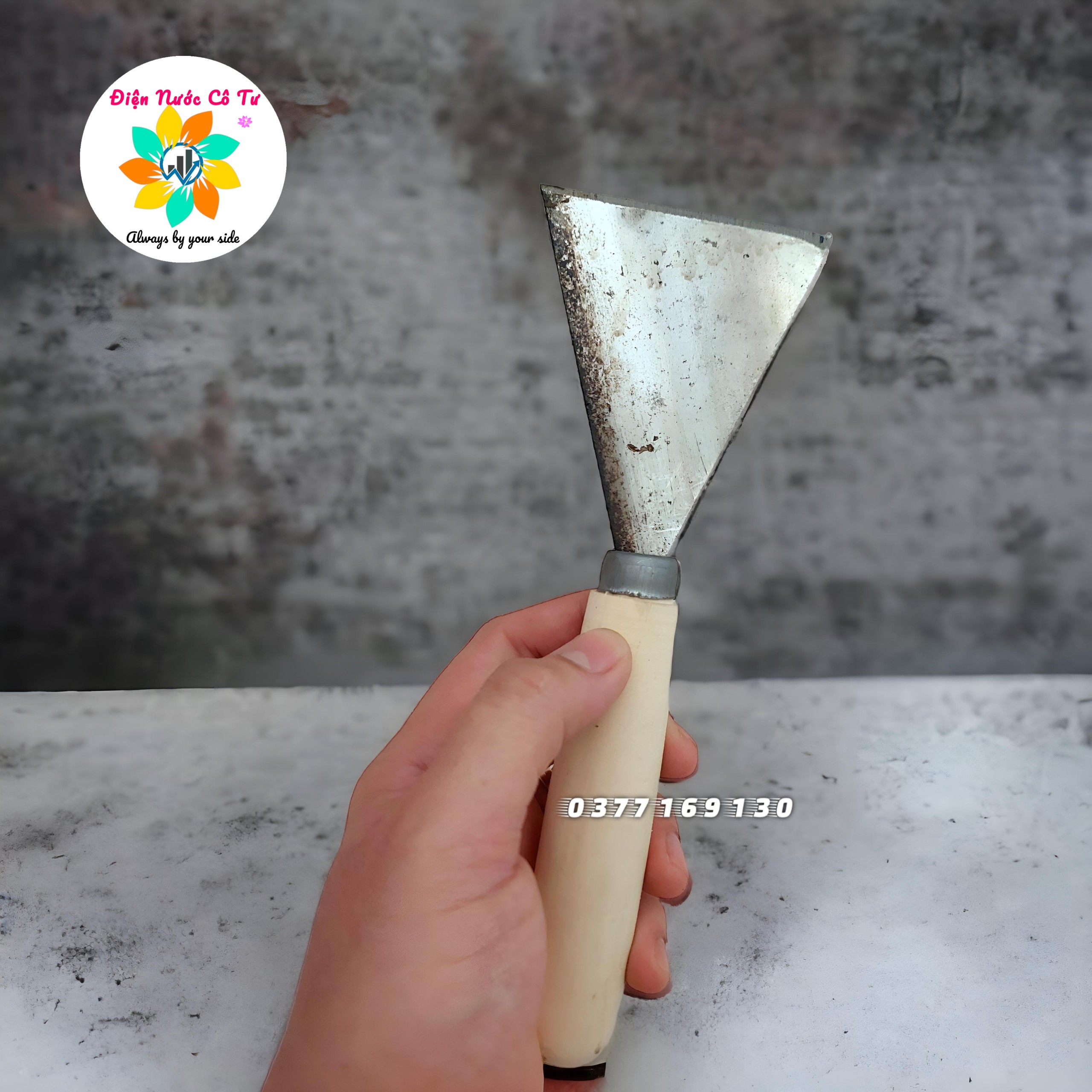 Sủi tường sủi sơn các loại