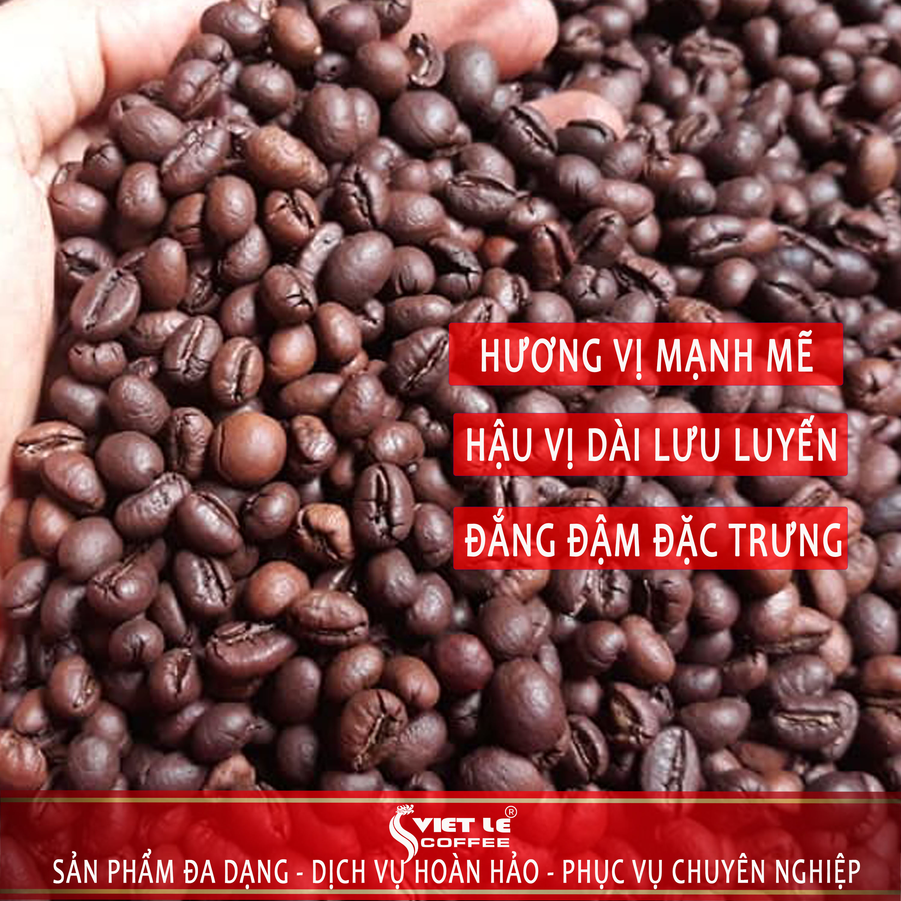 1kg Cà phê Culi Robusta hạt rang mộc