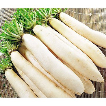 [HCM]Gói 20GR hạt giống Củ Cải Trắng Bạch Tuyết