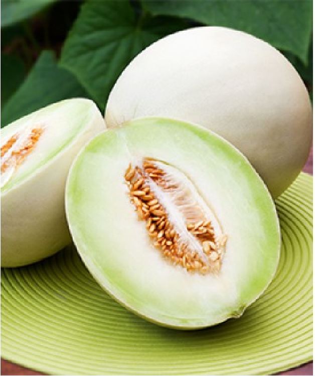 Hạt giống dưa lê trắng (dưa lê bạch tuyết ) - 1 gói 20 hạt - VTNN2