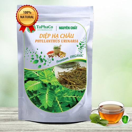 Diệp hạ châu sấy khô 500g, Cây chó đẻ khô