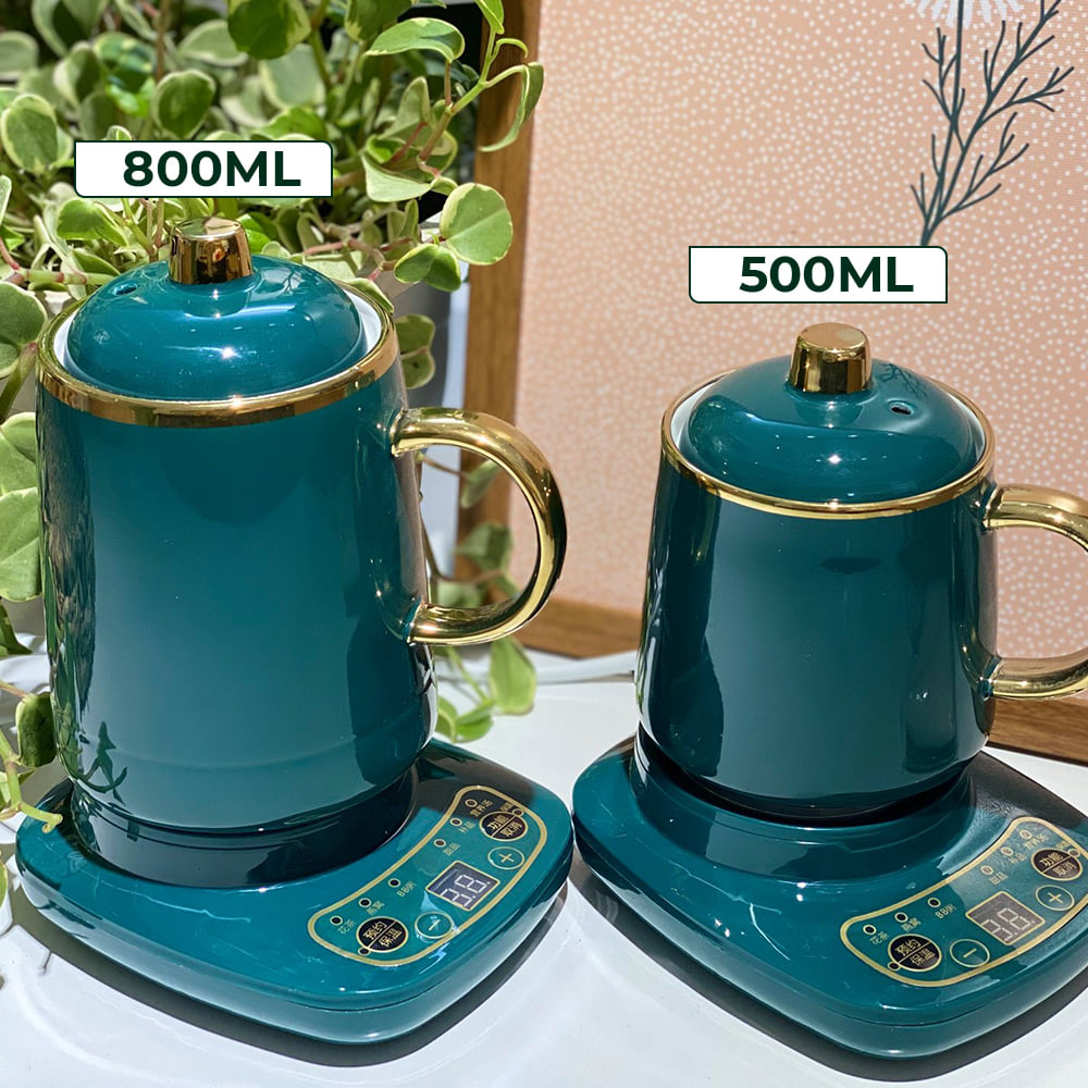 Cốc chưng yến - Cốc văn phòng - Cốc hầm đa năng
