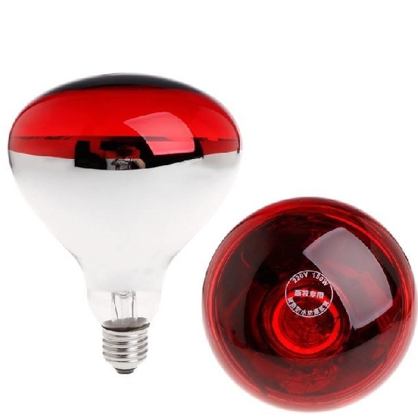 Bóng sưởi - Bóng úm gà 175W