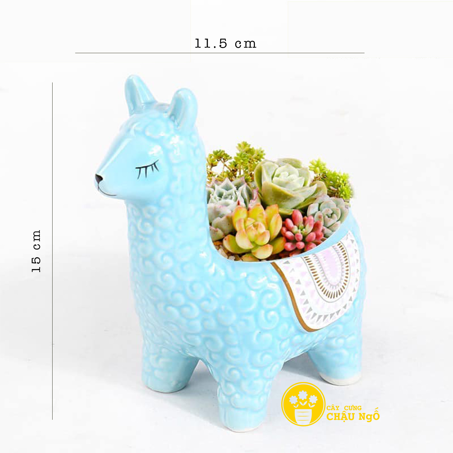 Chậu gốm lạc đà
