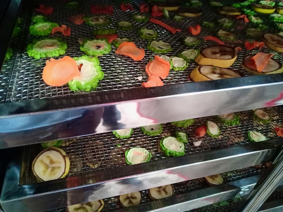 MÁY SẤY CÔNG NGHIỆP 30 KHAY