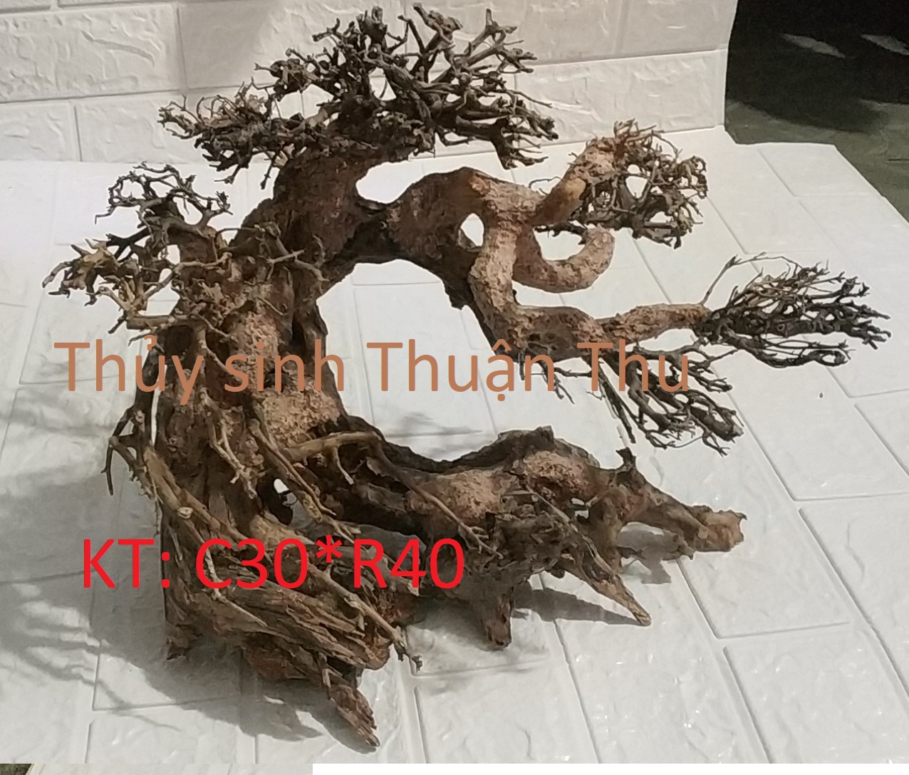 Lũa Bonsai  trang trí bể Thủy Sinh đẹp (lũa ghép)