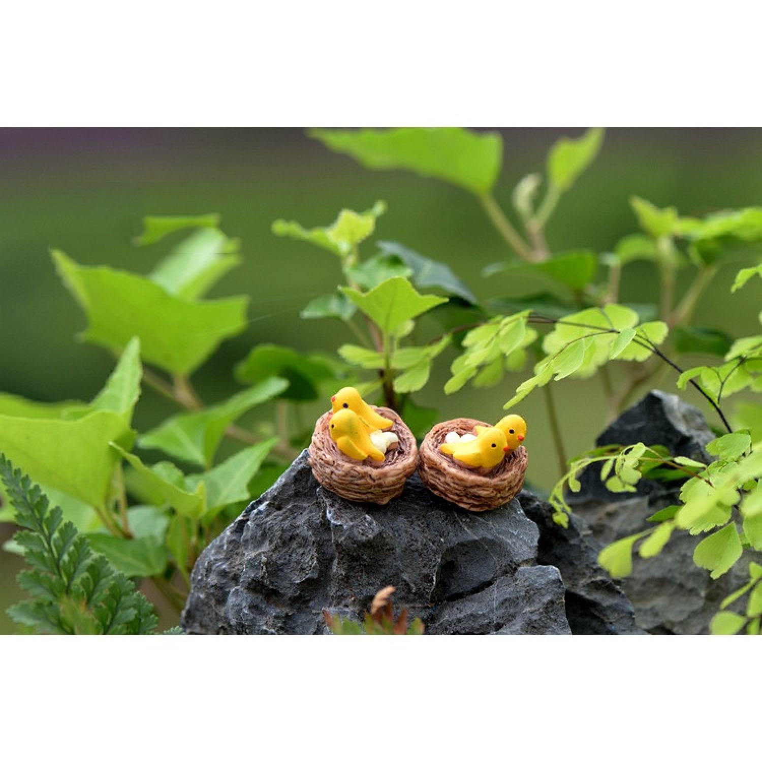 Tổ chim mini trang trí tiểu cảnh, sen đá, terrarium