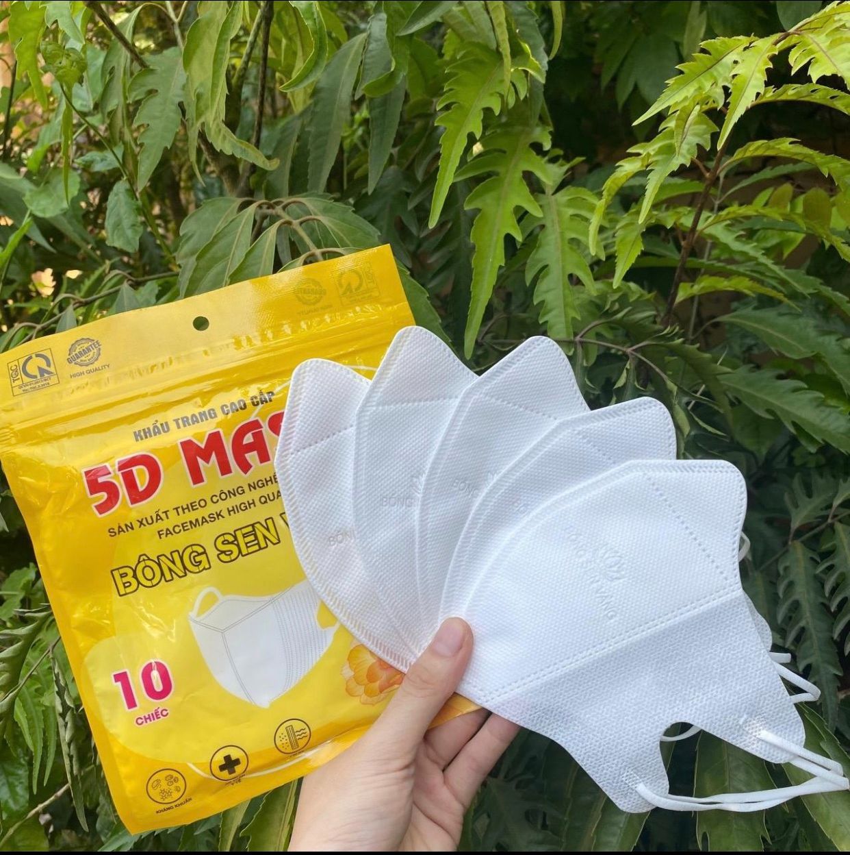 Thùng 400c Khẩu Trang 5D Bông Sen Vàng