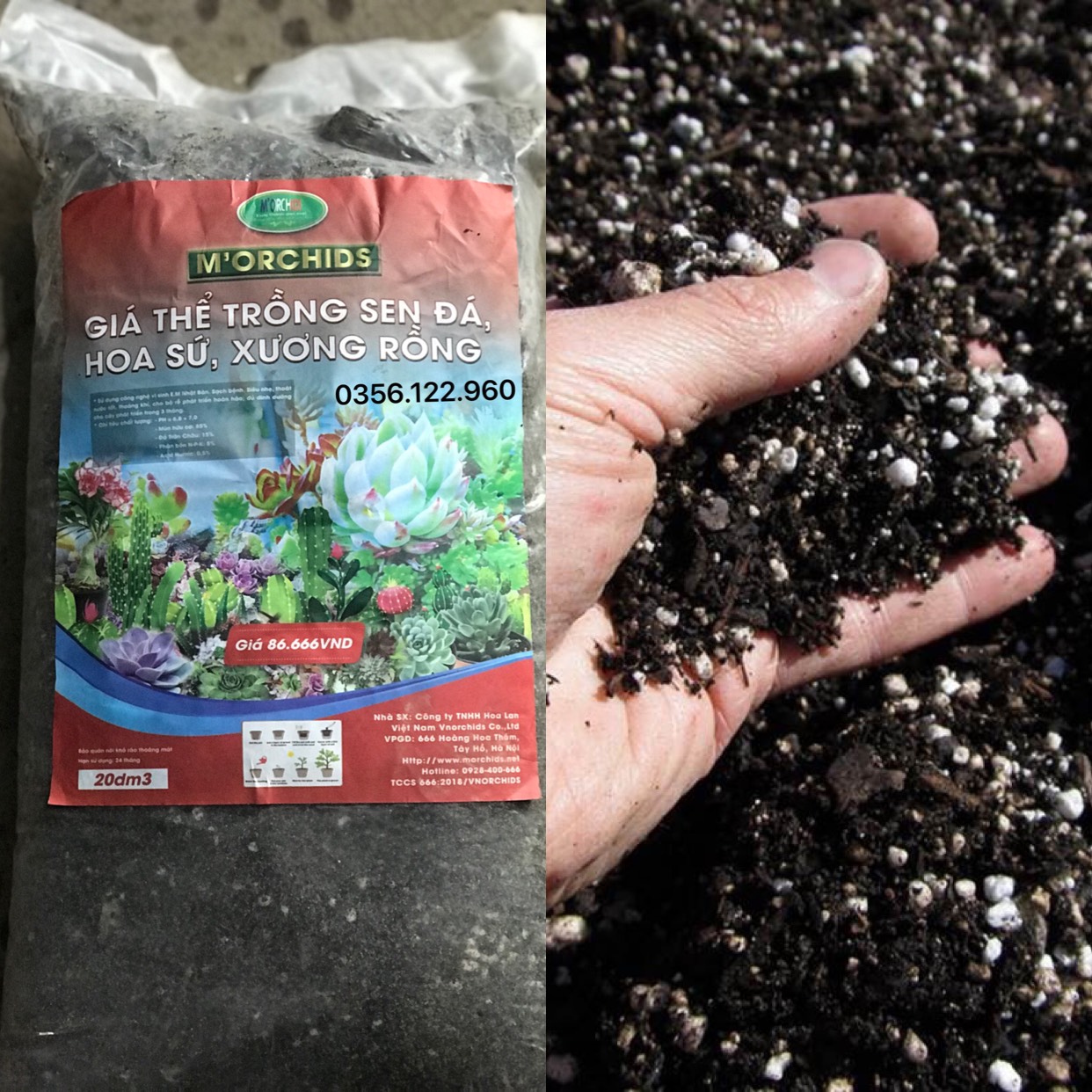 Túi đất giá thể trồng xương rồng sen đá 20dm3