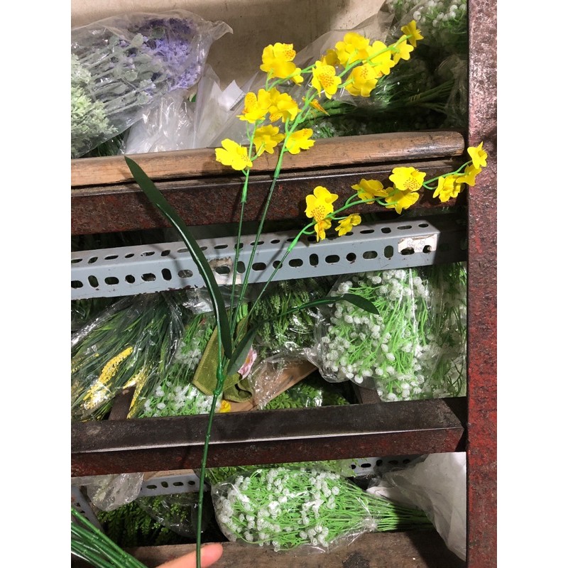 10 cành lan vũ nữ giả, cành 65cm 3 nhánh