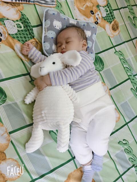 Thỏ bông gấu bông cho bé