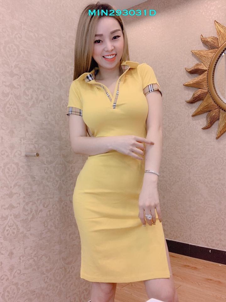 Đầm body chuồn chuồn cổ bẻ TTKX0704