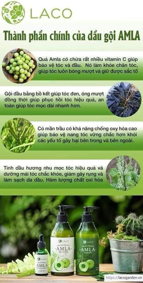 Dầu gội đầu Amla