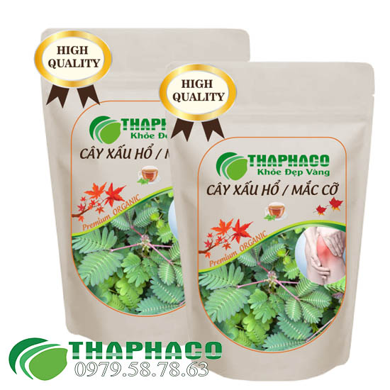 Xấu Hổ, Mắc Cở Sấy Khô [Túi 1kg] Thaphaco - Hỗ Trợ Tốt Cho Sức Khỏe Người Sử Dụng