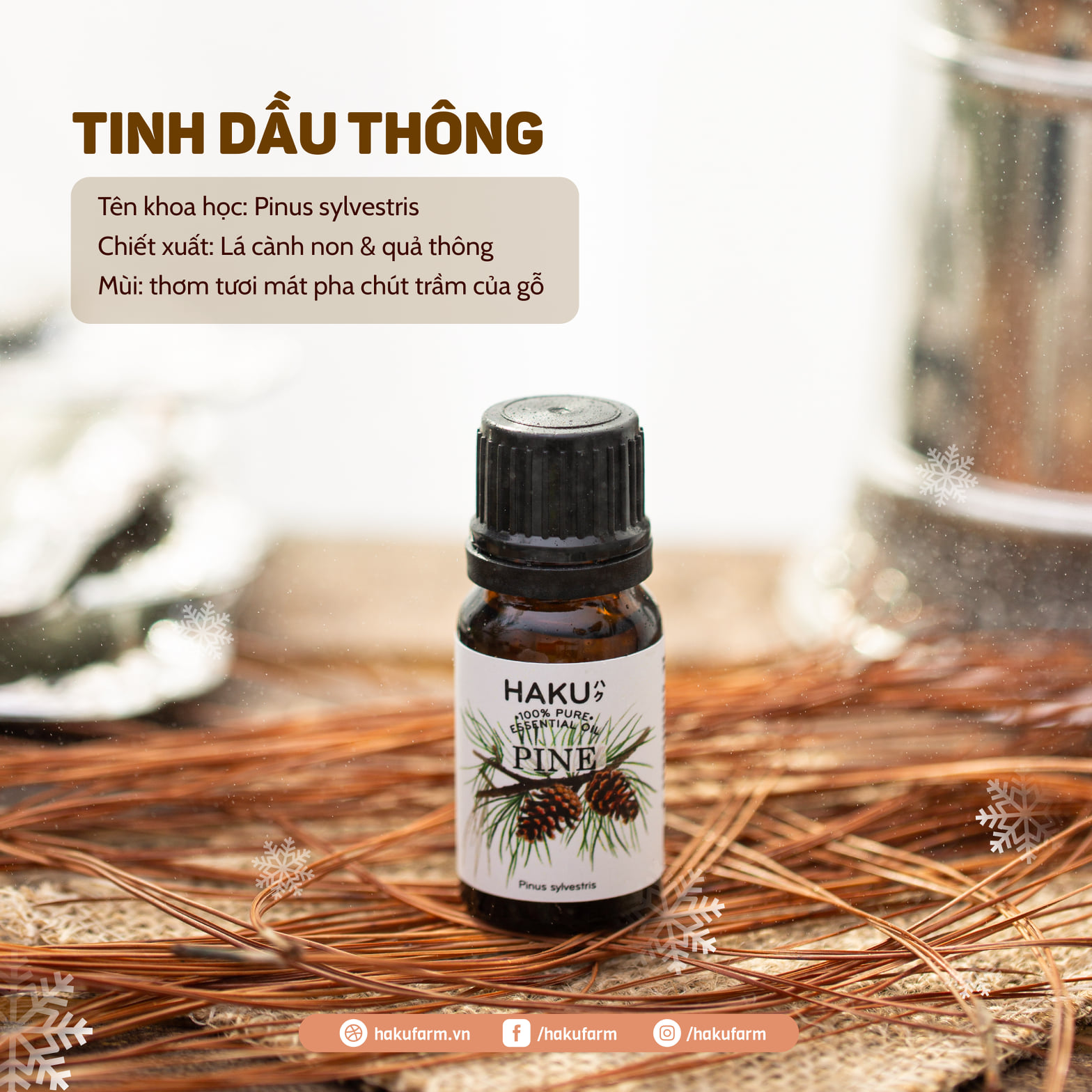 Tinh Dầu Thông HAKU 10ml