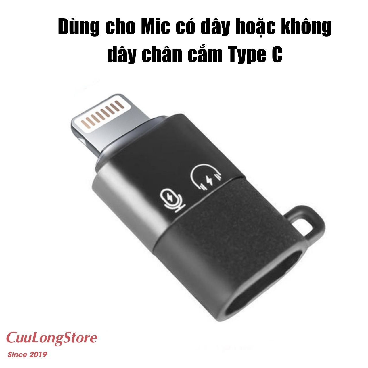 Lightning Type C Adapter, otg connect microphone charging cable for iPhone Android