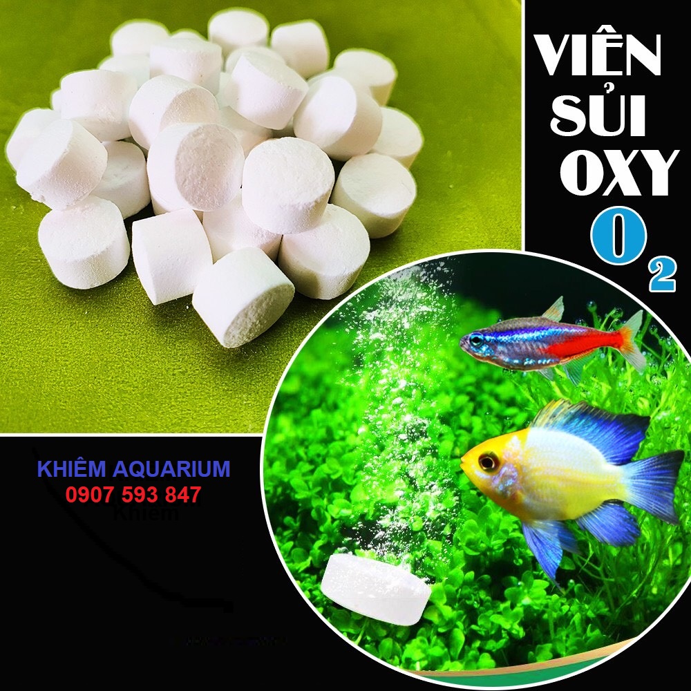 Oxy Viên Sủi Đậm Đặc - Cung Cấp Oxi cho Cá 🐟