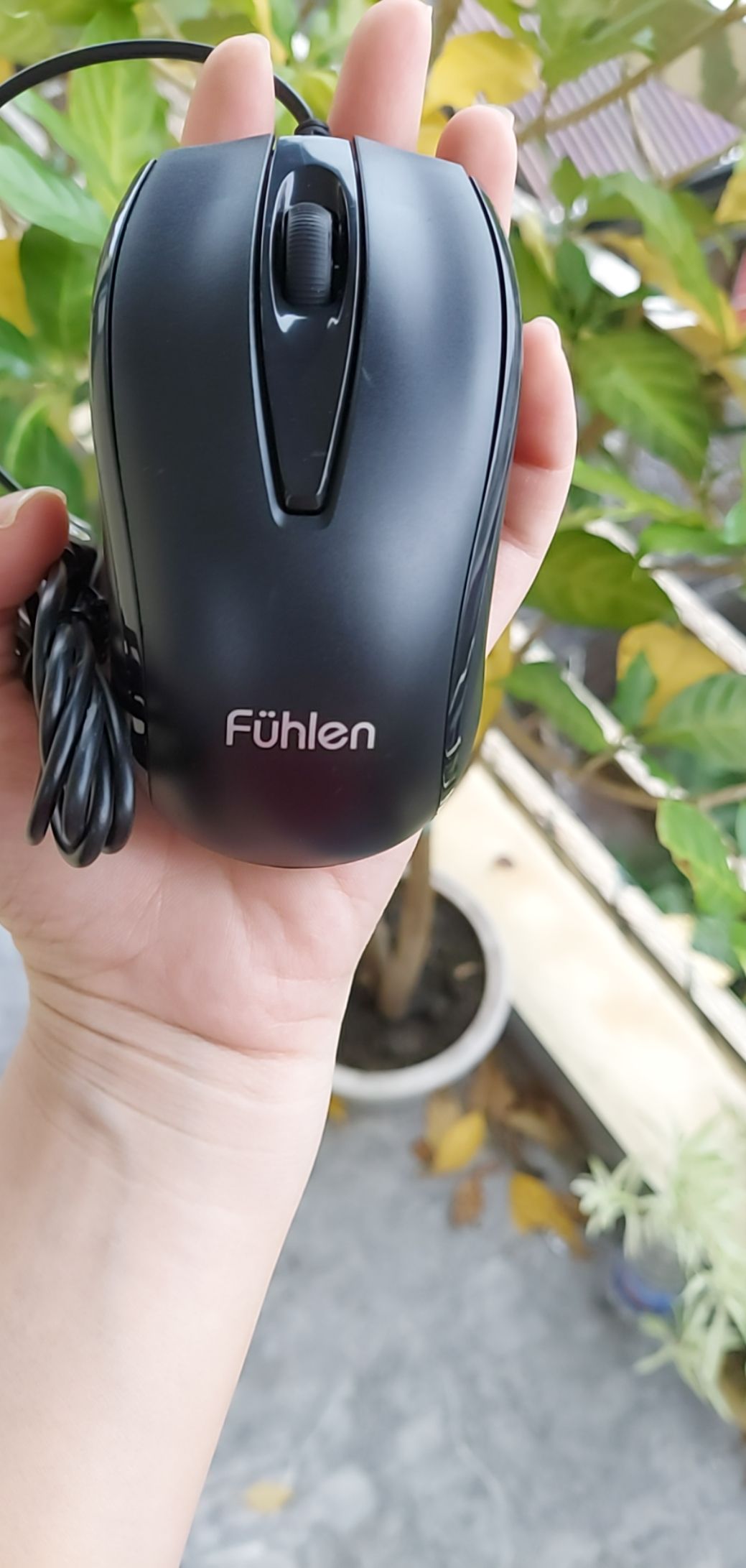 Chuột có dây Rapoo N100/ USB ( Màu Đen)