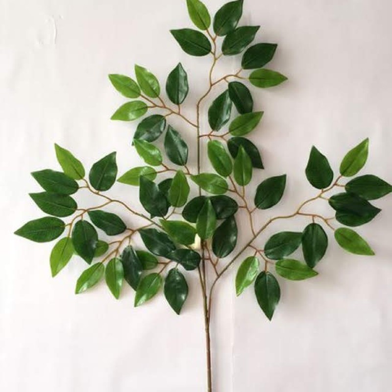 Cành Lá Si Xanh làm cây giả, backgroud