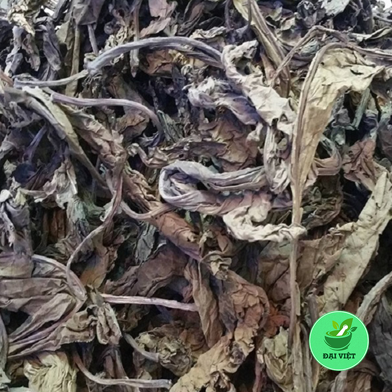 1kg Lá khôi tía (cây khôi nhung) - DV165