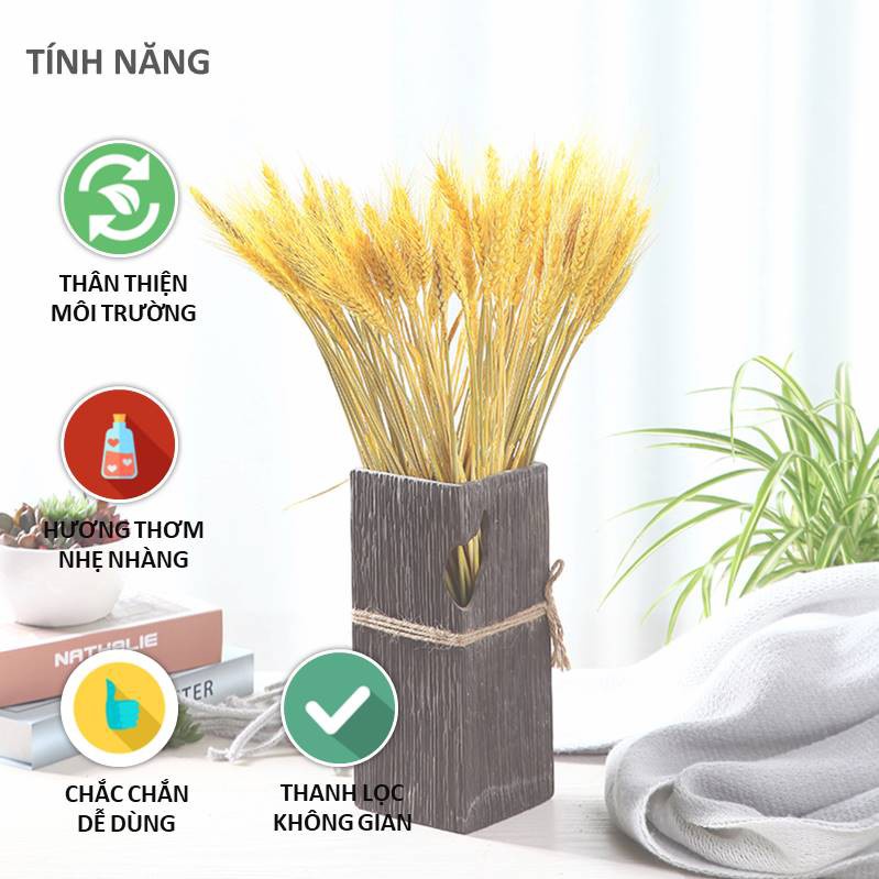 Lúa Mạch Vàng Bó 100 Bông Trang Trí