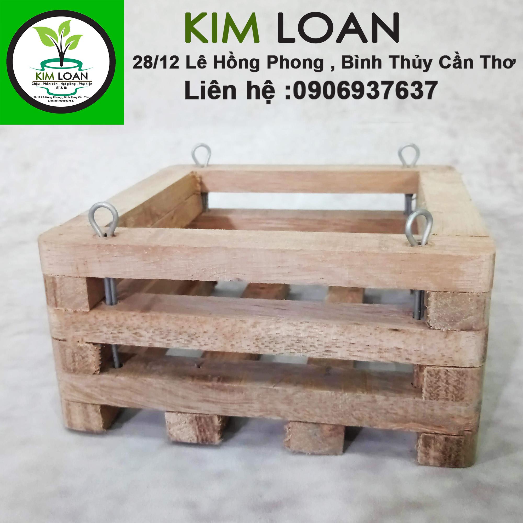 Chậu lan gỗ hộp vuông 15x7cm
