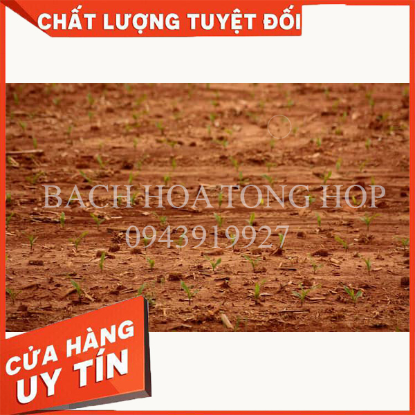 BỘT ĐẤT SÉT ĐỎ TỰ NHIÊN DÙNG ĐỂ TRỒNG CÂY ( MUA 5 TẶNG 1 )