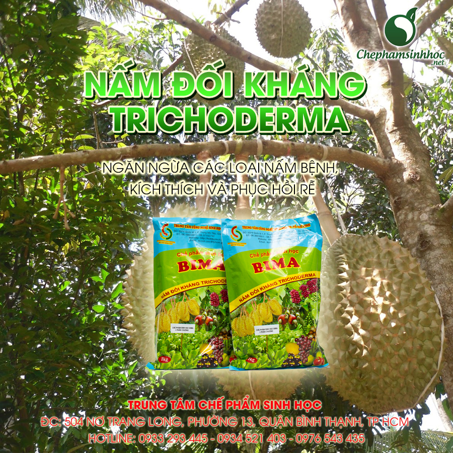 Nấm đối kháng Trichoderma BIMA