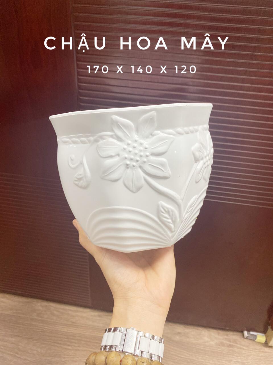 [HCM]Chậu nhựa hoa mây trắng