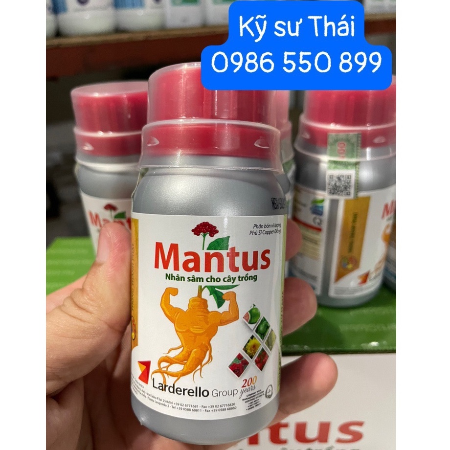 Mantus - Nhân Sâm Cây Trồng (Kỹ sư Thái - Giải Pháp Nông Nghiệp)