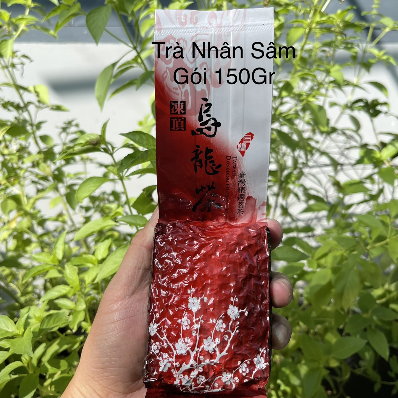 Trà Olong Nhân Sâm Đài Loan
