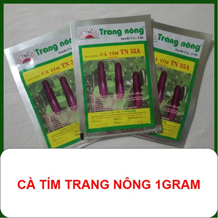 HẠT GIỐNG CÀ TÍM Trang Nông 1gram