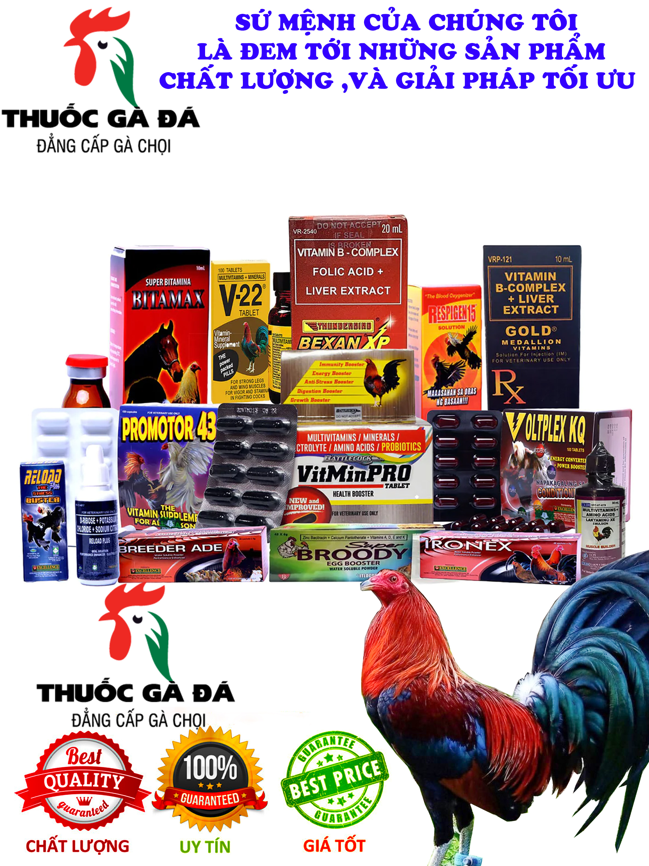 GALLOMIN dinh dưỡng cho gà đá 100 viên