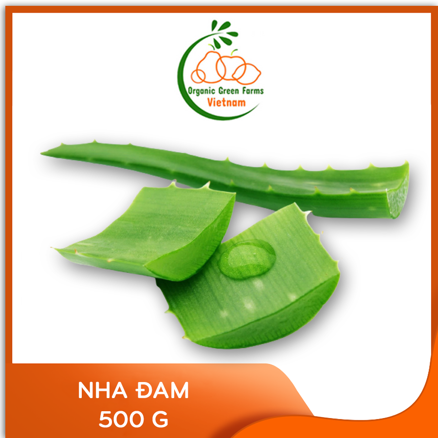 [OGF] - Lá nha đam (500 g) - [Giao nhanh TPHCM]