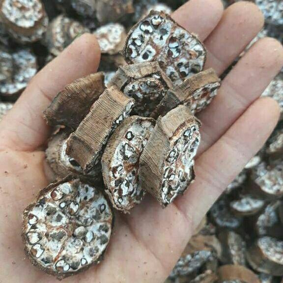 sỉ 1kg mộc nhĩ rừng