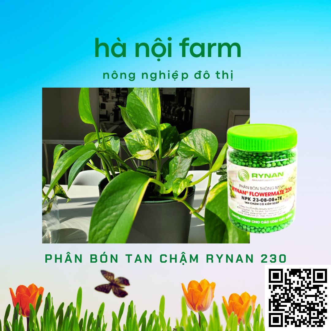 phân bón thông minh, tan chậm rynan 230. hũ 150g